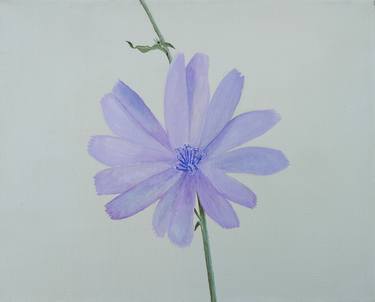 Blaue Blume (Cichorium intibus) thumb