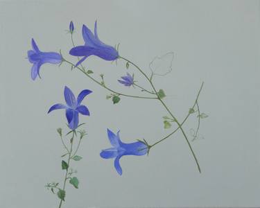 Blaue Blume (Campanula portenschlagiana) thumb