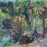 Roots by Anibal Riverol