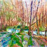 Forest moments by Anibal Riverol