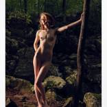 Sapling in the Forest by Aaron Knight