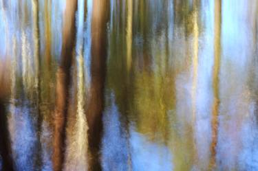 Original Abstract Photography by Beata Moore