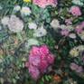 close up 6