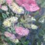 close up 1