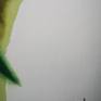 close up 4