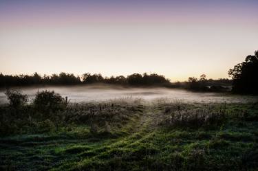 Early Morning Fog thumb