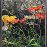 Icelandic Poppies by Joanna Painter