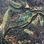 Mascarin Cactus Garden by Joanna Painter