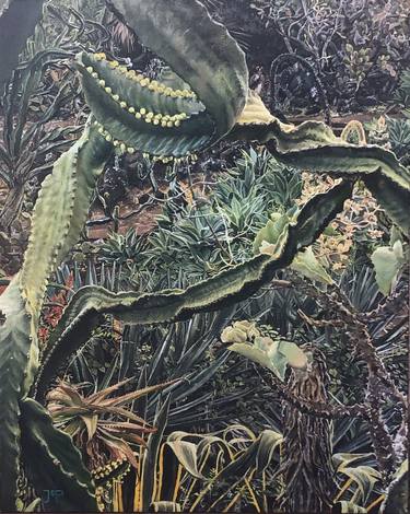 Original Fine Art Botanic Paintings by Joanna Painter
