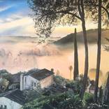 Winter Mists over the Village by Joanna Painter