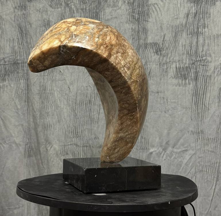 Original Contemporary Abstract Sculpture by Joel Shapses