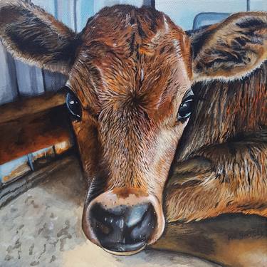 Saatchi Art Artist Phil Griffiths; Paintings, “Benji the Rescue Calf” #art