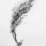 Tree No.5 Drawing By Liu Ling | Saatchi Art