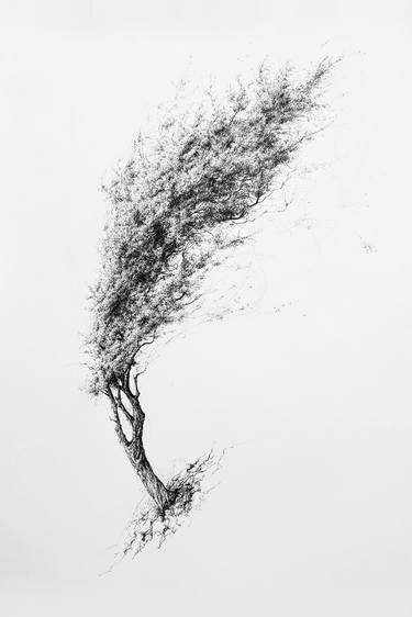 Print of Fine Art Tree Drawings by Liu Ling