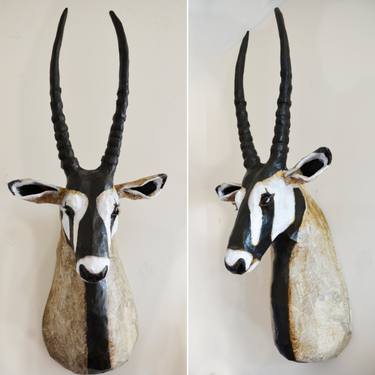 Oryx Antelope thumb