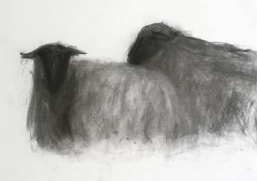 Original Animal Drawings by Anne Fraaz-Unterhalt