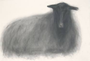 Original Animal Drawings by Anne Fraaz-Unterhalt