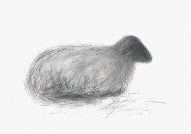 Original Animal Drawing by Anne Fraaz-Unterhalt