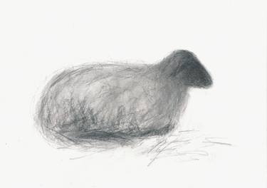 Original Animal Drawings by Anne Fraaz-Unterhalt