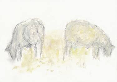 Original Animal Drawings by Anne Fraaz-Unterhalt