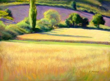 Lavender & Spelt Field, Morning Light thumb