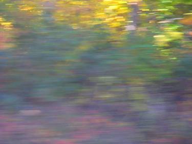 Original Impressionism Abstract Photography by Angela Manno