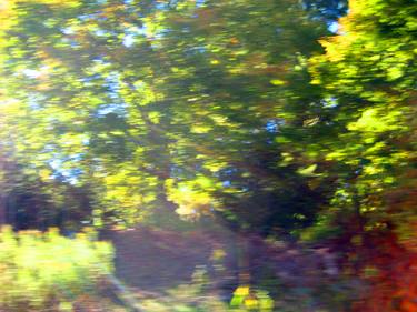 Original Impressionism Abstract Photography by Angela Manno