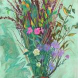 Collection "Northern Botany"