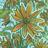 Collection Orange