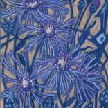 Collection Purple & Violet