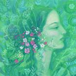Collection Fantasy / surreal / visionary art