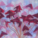 Collection Red & Pink