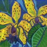 Collection Floral & Still Lives