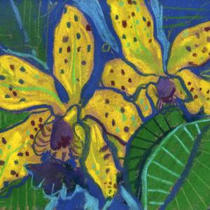 Collection Abstract Botanical