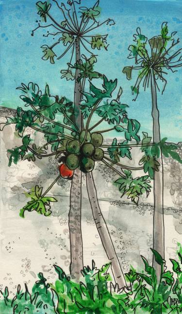 Papaya Tree, Ink pen Watercolor Sketch thumb