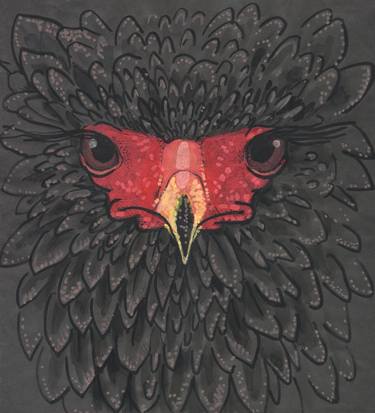 Bateleur Eagle, Paper Collage African Bird Portrait Black Red thumb