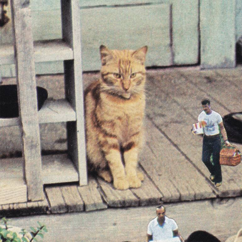 Original Conceptual Cats Collage by Lerson Pannawit