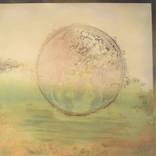 Evolutionary Cycles by Kimberly Balla