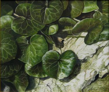 Print of Photorealism Botanic Paintings by Dragan Bekavac