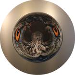 I SEE, I SEE - Edition of 33 by Jonty Hurwitz