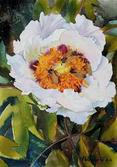 Print of Fine Art Floral Paintings by Olena Polovna