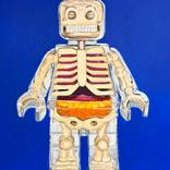 Collection New This Week 11-17-2025