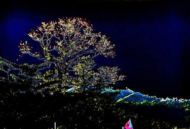 Print of Impressionism Tree Photography by Sharmaigne Foja