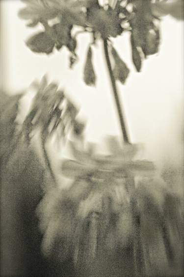 Original Impressionism Botanic Photography by Heather Mason