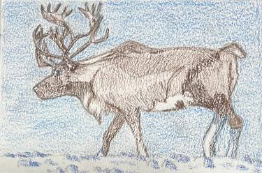 Original Illustration Animal Drawing by Tomoe Nakamura