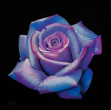 Blue and Pink Rose thumb