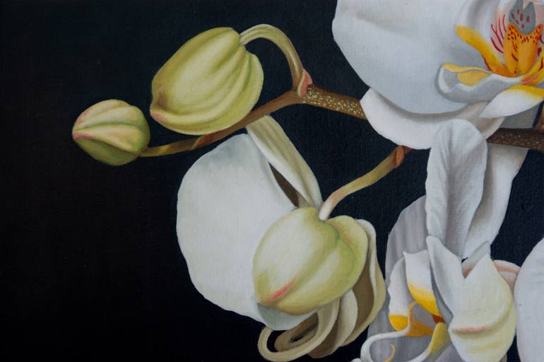 Original Other Floral Painting by Dietrich Moravec