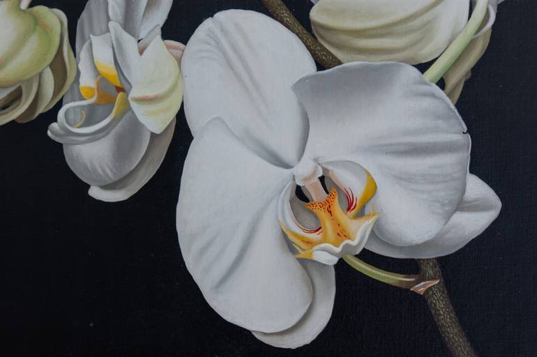 Original Other Floral Painting by Dietrich Moravec