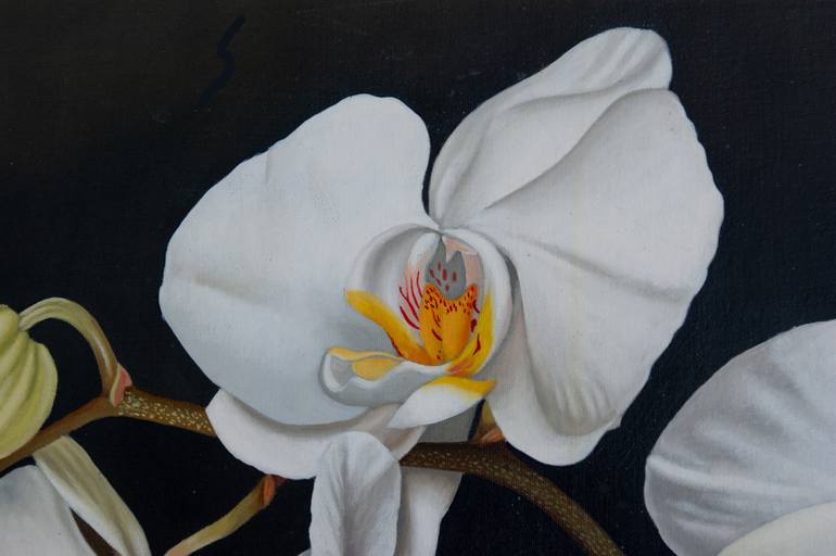 Original Other Floral Painting by Dietrich Moravec