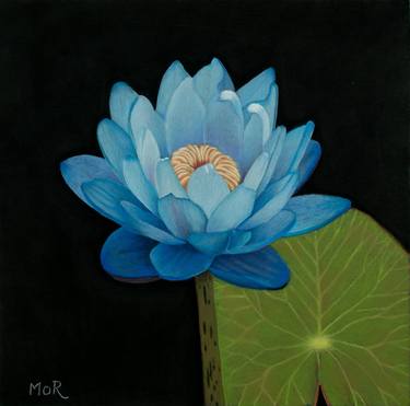 Original Fine Art Floral Paintings by Dietrich Moravec